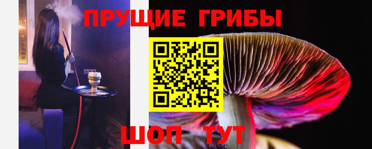 Галлюциногенные грибы Psilocybine cubensis Чебаркуль