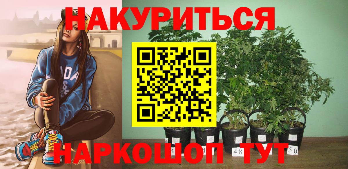 Канабис план Чебаркуль